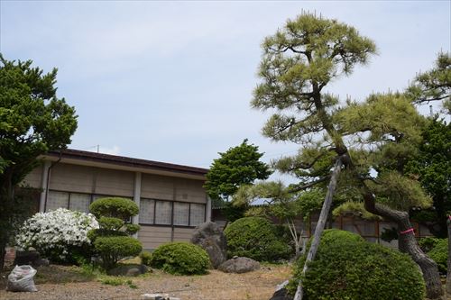 上田邸の植木の枝切り作業と草取り作業の様子