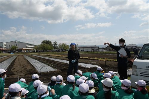 「チャグチャグスイカ」の定植会の様子