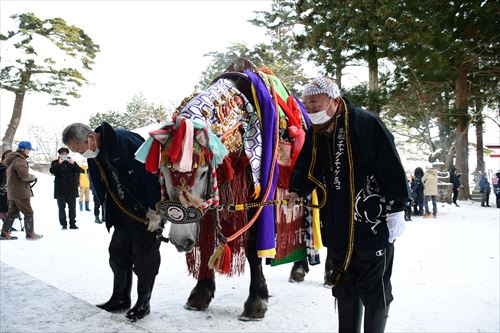 チャグチャグ馬コの鬼越蒼前神社への初詣の様子