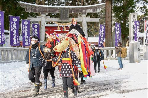 チャグチャグ馬コの鬼越蒼前神社への初詣の様子