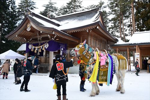 チャグチャグ馬コの鬼越蒼前神社への初詣の様子