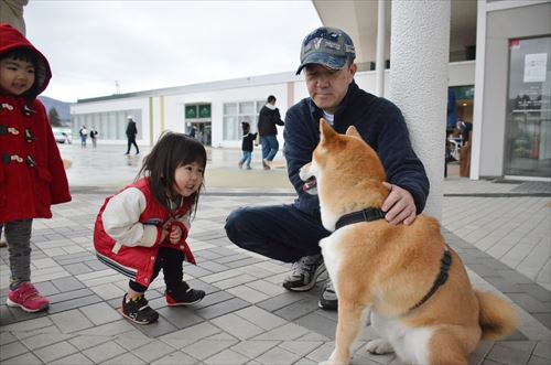 子どもが犬と触れ合っている様子