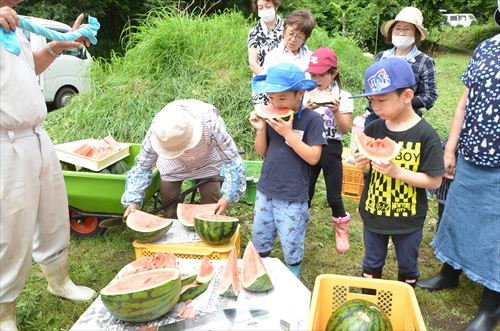 人々が切り分けられたスイカを食べている様子