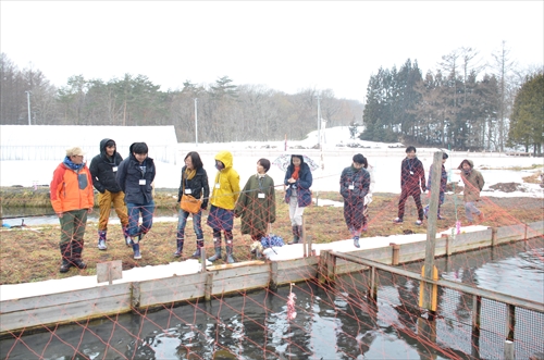 人々が養魚場を訪れている様子