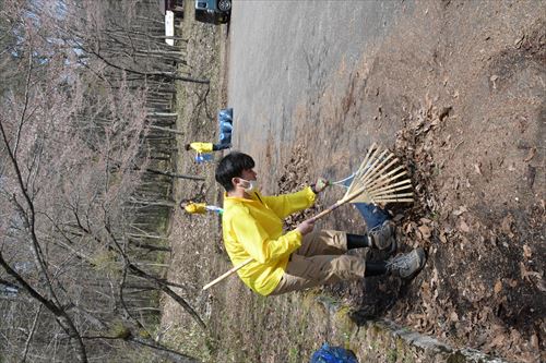 駐車場の落ち葉の清掃の様子8