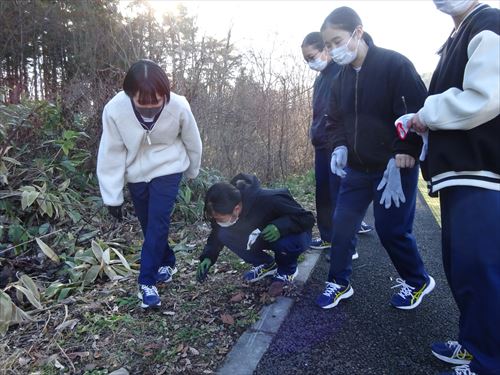 歩道わきのゴミを拾う学生達の様子