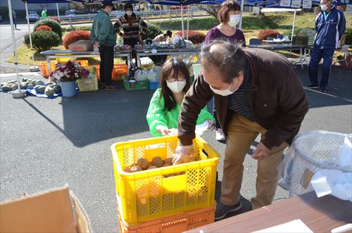 じゃがいものつかみ取りをする男性