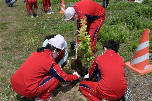 植樹活動の様子3