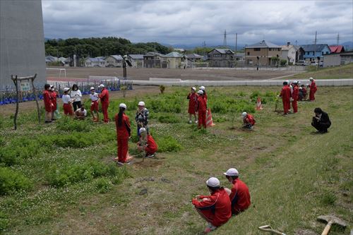 植樹活動の様子5