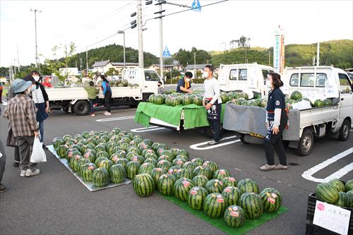 朝市にたくさんのスイカが並ぶ様子3