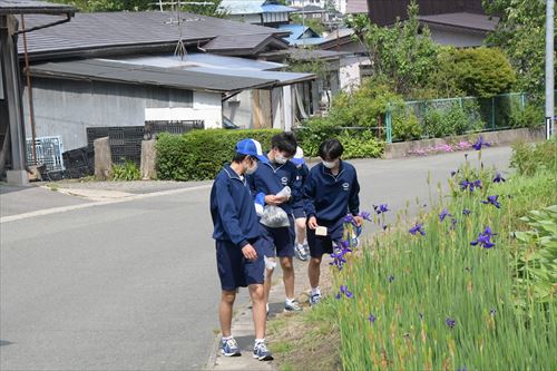 滝沢南中学校3年生が市内のチャグチャグ馬コ行進路でごみ拾いをする様子3