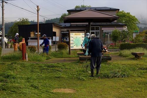 アヤメ園・馬っこ広場清掃活動の様子4