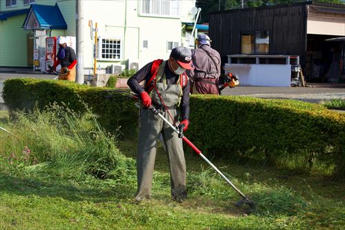 アヤメ園・馬っこ広場清掃活動の様子5