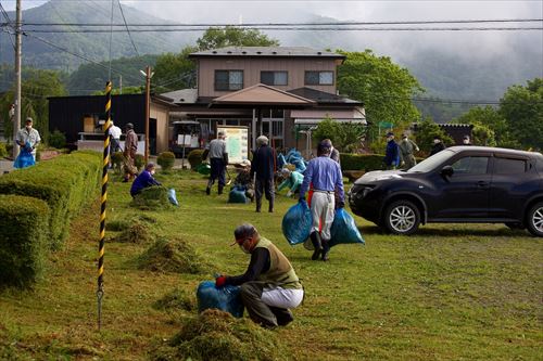 アヤメ園・馬っこ広場清掃活動の様子9