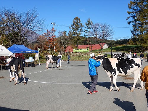 農村研修の成果報告の様子