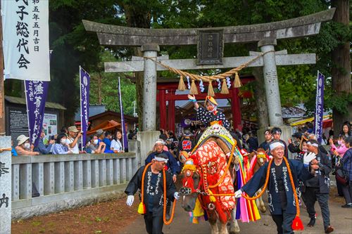 チャグチャグ馬コの様子