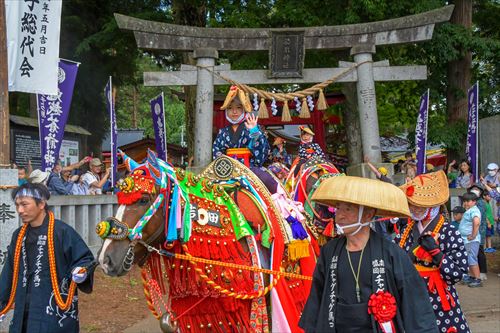 チャグチャグ馬コの様子