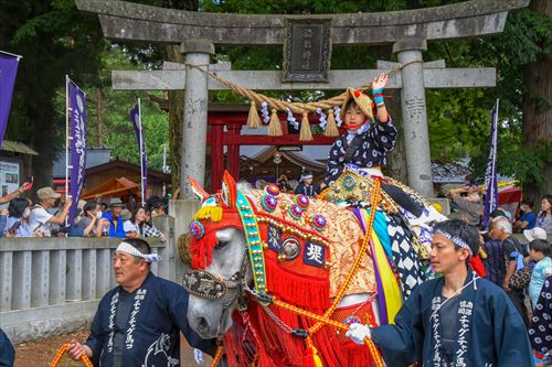 チャグチャグ馬コの様子