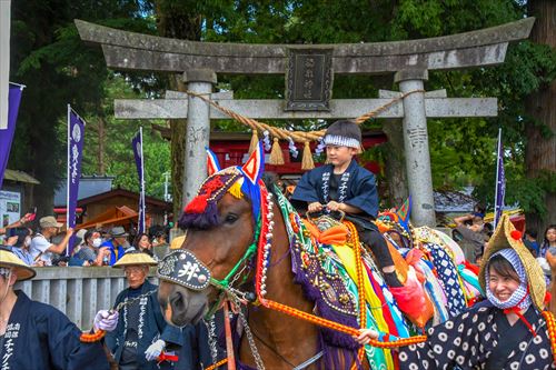 チャグチャグ馬コの様子