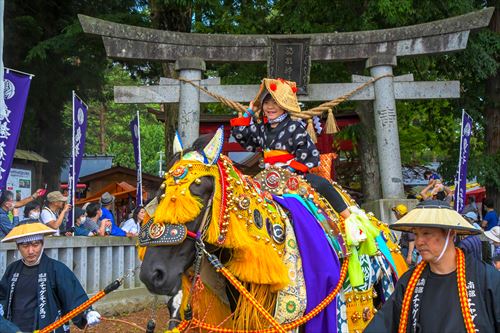 チャグチャグ馬コの様子