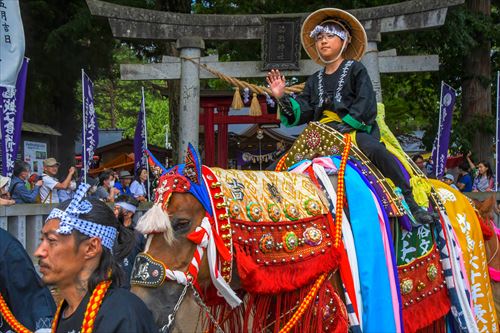 チャグチャグ馬コの様子