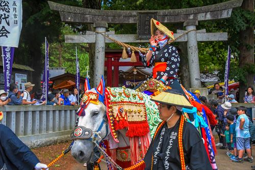 チャグチャグ馬コの様子