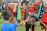 チャグチャグ馬コの様子13