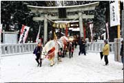 写真 雪の馬コ