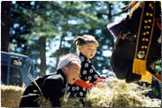 写真 幼児と馬コ